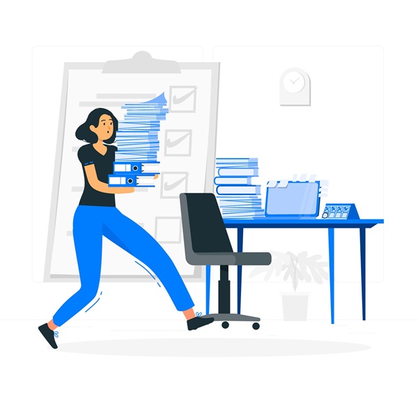 Verificação de Documentos